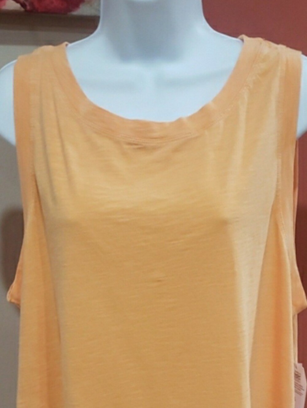 Time and Tru Women’s Peach Orange Melon Crew Neck T-Shirt, 2X (20)